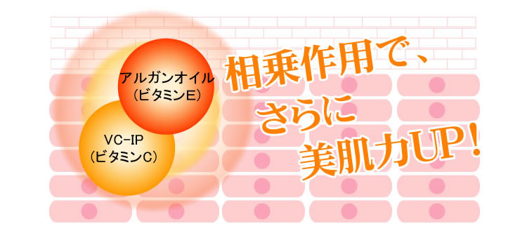 WLエクストラチャージ